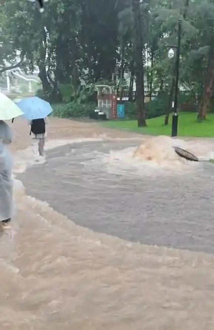 暴雨难阻转会潮！深圳足坛突遭天灾，三笔重磅签约雨夜官宣引热议
